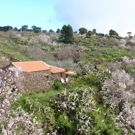 Casa Rural La Jarita El Pinar  Exterior foto