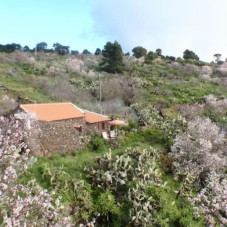 Casa Rural La Jarita Guest House El Pinar  Exterior foto