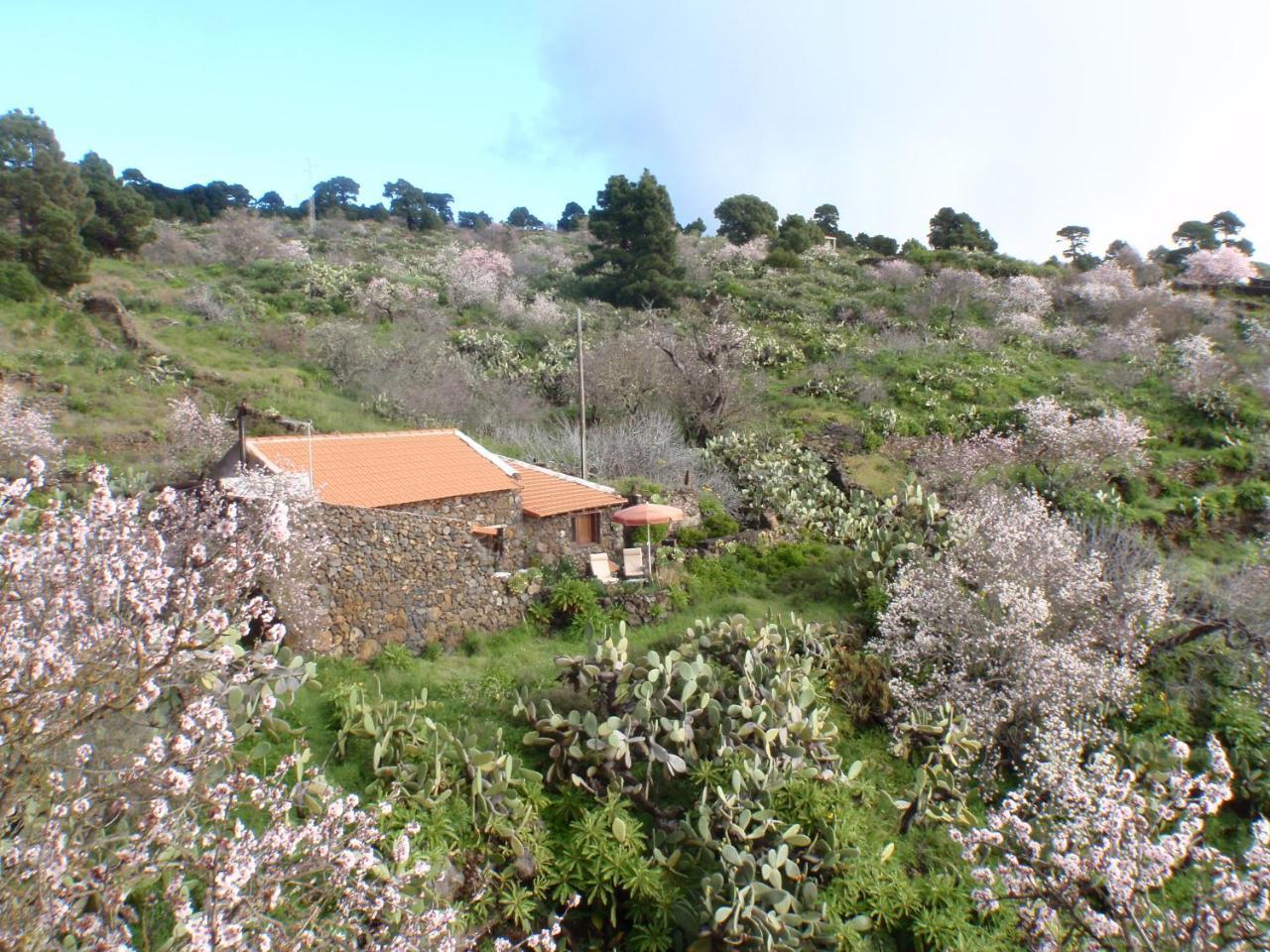 Casa Rural La Jarita Guest House El Pinar  Exterior foto